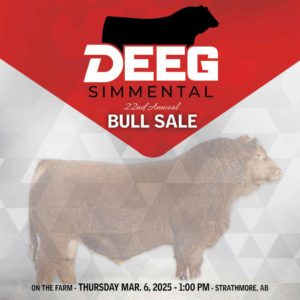 DEEG_BullSale_2025-1