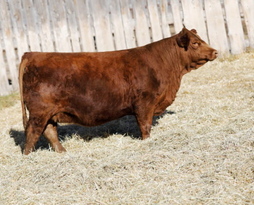 Deeg Ms Sash 122M Deeg Ms Sash 122M