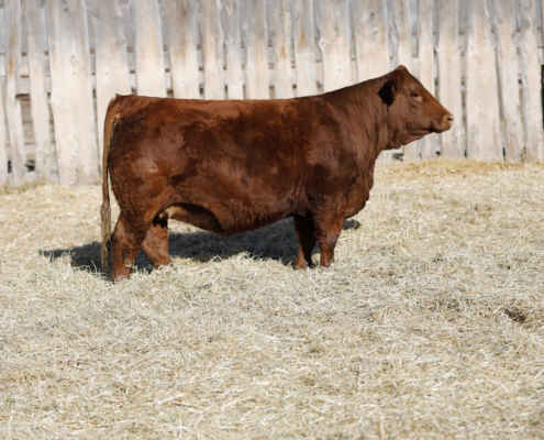 Deeg Ms Sofie 33M Deeg Ms Sofie 33M