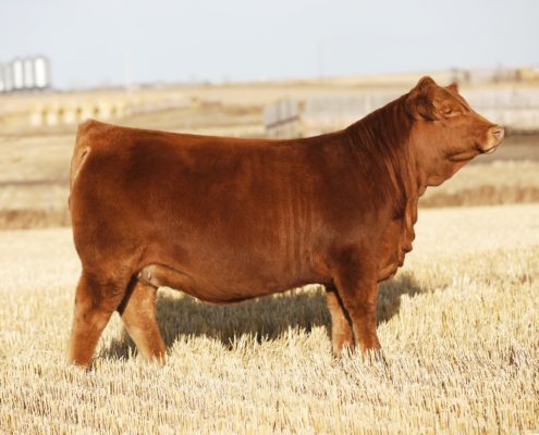 Deeg Ms Sage 3N Deeg Ms Sage 3N