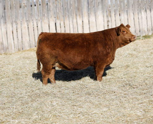 Deeg Ms Sage 43M Deeg Ms Sage 43M