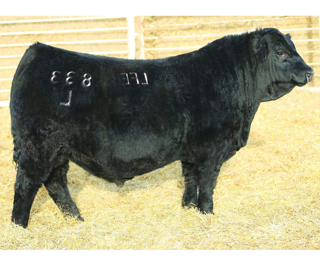 Resized LFE BS LEWIS 833L copy