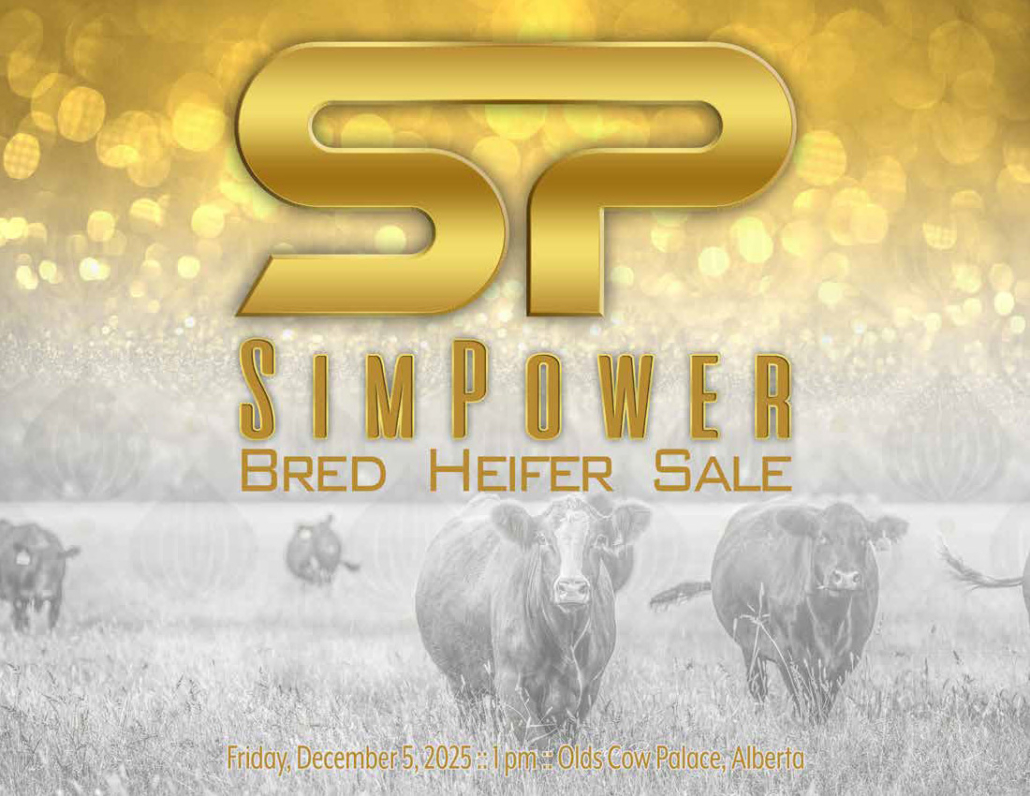 SimPower 2025 Cover